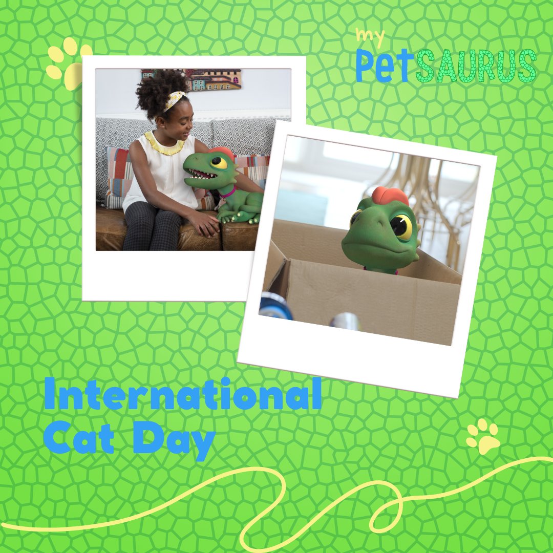 MyPetsaurus's tweet photo. We couldn't let #internationalcatday pass without a nod to our very own Fluffy - mischievous and loveable - the perfect pet combination! 💚

#cats  #mypetsaurus #petsarefamily #firstpet #cbeebies #childrenstv https://t.co/eDxfB2b3NP