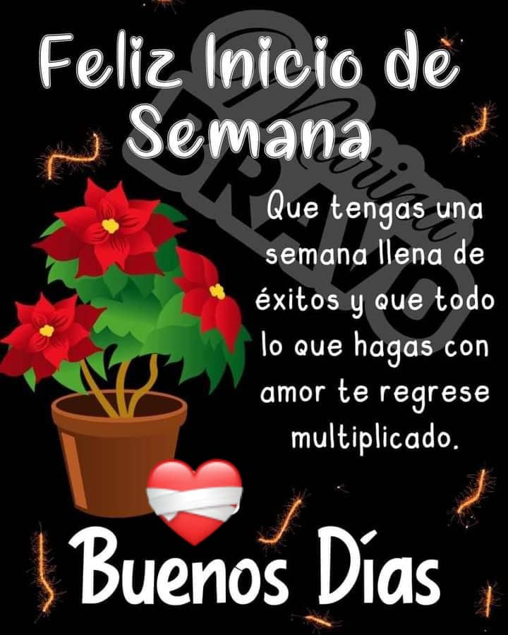 Yoni Diaz on Twitter: Yoni Diaz on Twitter:
