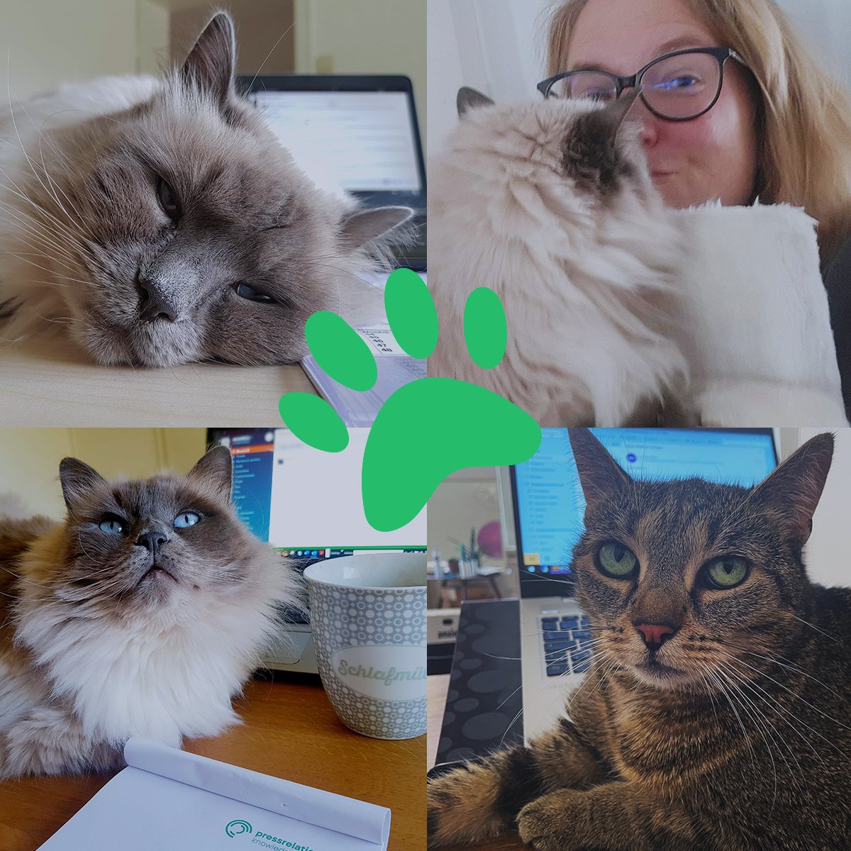 #Weltkatzentag😺

Katzen sind nicht nur die beliebtesten #Haustiere, sondern auch gern gesehen bei unseren Mitarbeiter*innen. Zeit, dass wir hier auch mal unsere „Fellnasen” zeigen, die uns im Home-Office begleiten und auch #remote schon für einige Cameo-Auftritte gesorgt haben.