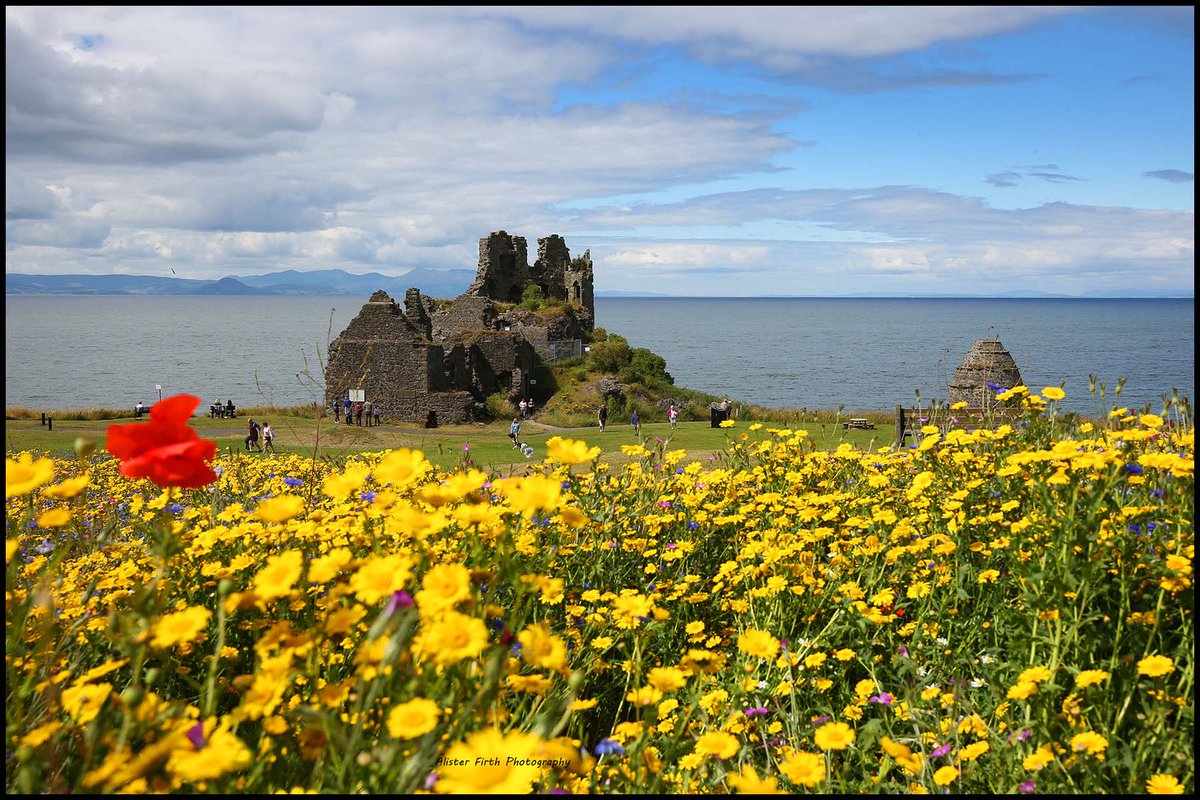 A great initiative by South Ayrshire Council has seen wild flower meadows being created in areas around the county. This particular meadow forms a lovely forground for the iconic ruin of Dunure Castle