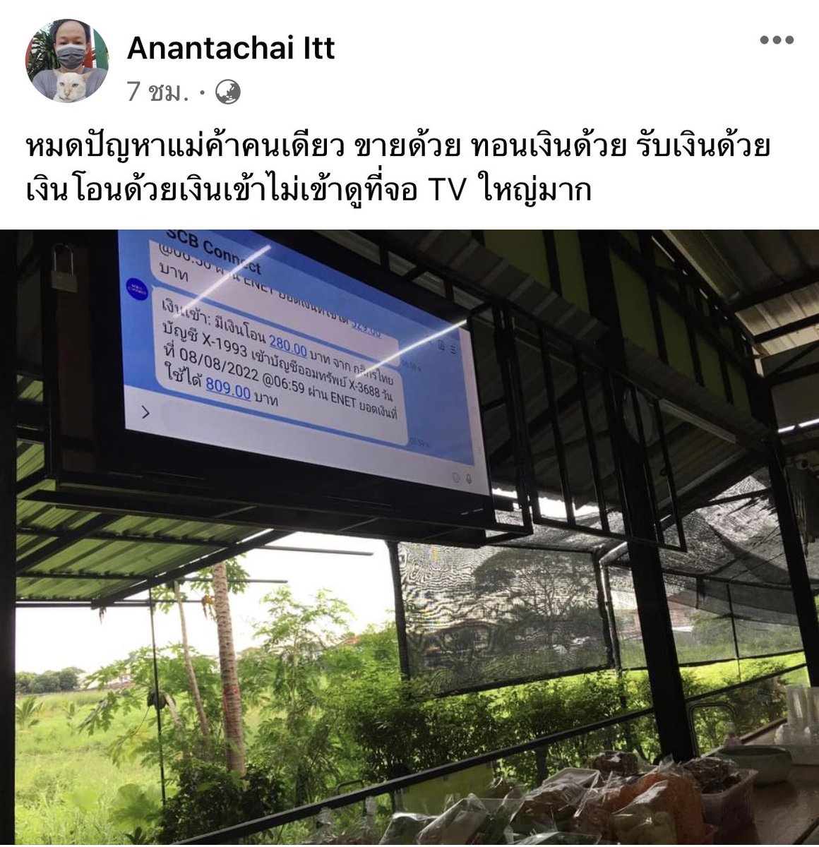 ตึ๋งตึงตึ้งพ่อค้าผ้าปูมาแล้วจ้า (490.-) ส่งฟรี tweet media