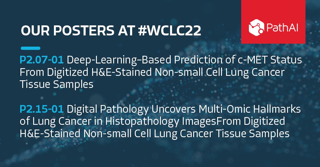 Path_AI's tweet photo. Today at @IASLC #WCLC22, PathAI shares two posters highlighting the unique capabilities of our AI-powered models to provide clinically relevant predictions from H&amp;E images. Learn more: https://t.co/OTOpcQ1sOw https://t.co/6GNWbseapO