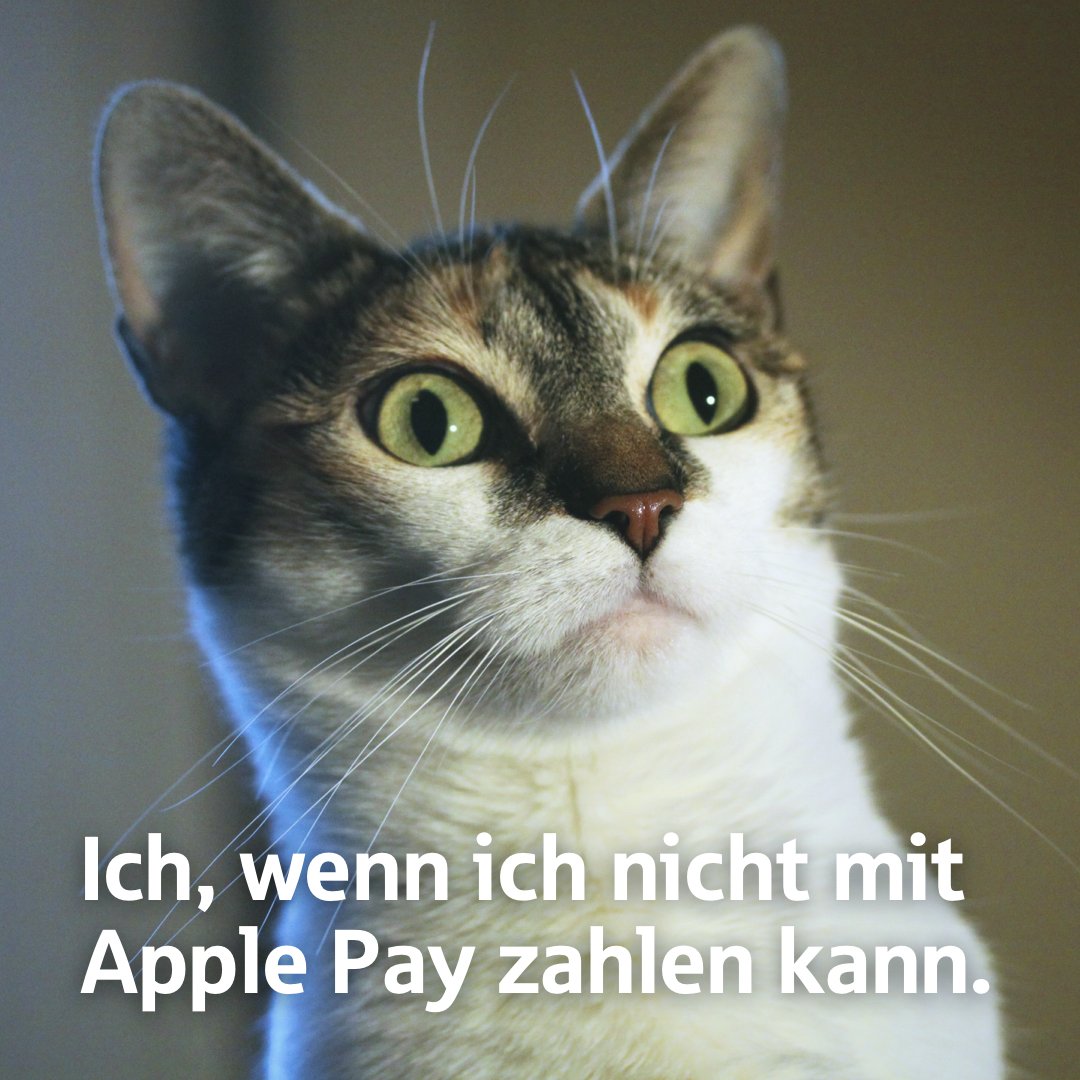 Sparkasse_Ndb_M's tweet photo. So einfach und schnell, dass man nicht mehr darauf verzichten will: online Bezahlen mit Apple Pay und der Sparkasse. Mehr Infos gibt's hier: https://t.co/gjLPkxRGBV 😺
#applepay #sparkasse #grumpycat https://t.co/lWjNLVdXd5