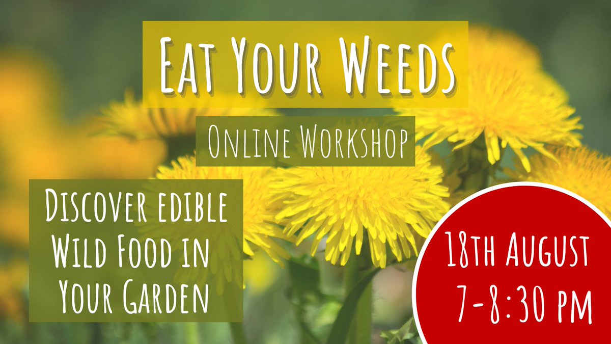 You'd be surprised how many weeds taste great and make good medicine. Join experts Julie Bruton-Seal &amp; Matthew Seal authors of <a href="/HedgerowMed/">Hedgerow Medicine</a> to discover how you can eat your weeds! Live workshop on Thurs 18th Aug bit.ly/3BPkYuU <a href="/Herbalphotos/">Julie Bruton-Seal</a> #foraging #herbalife #wildfood