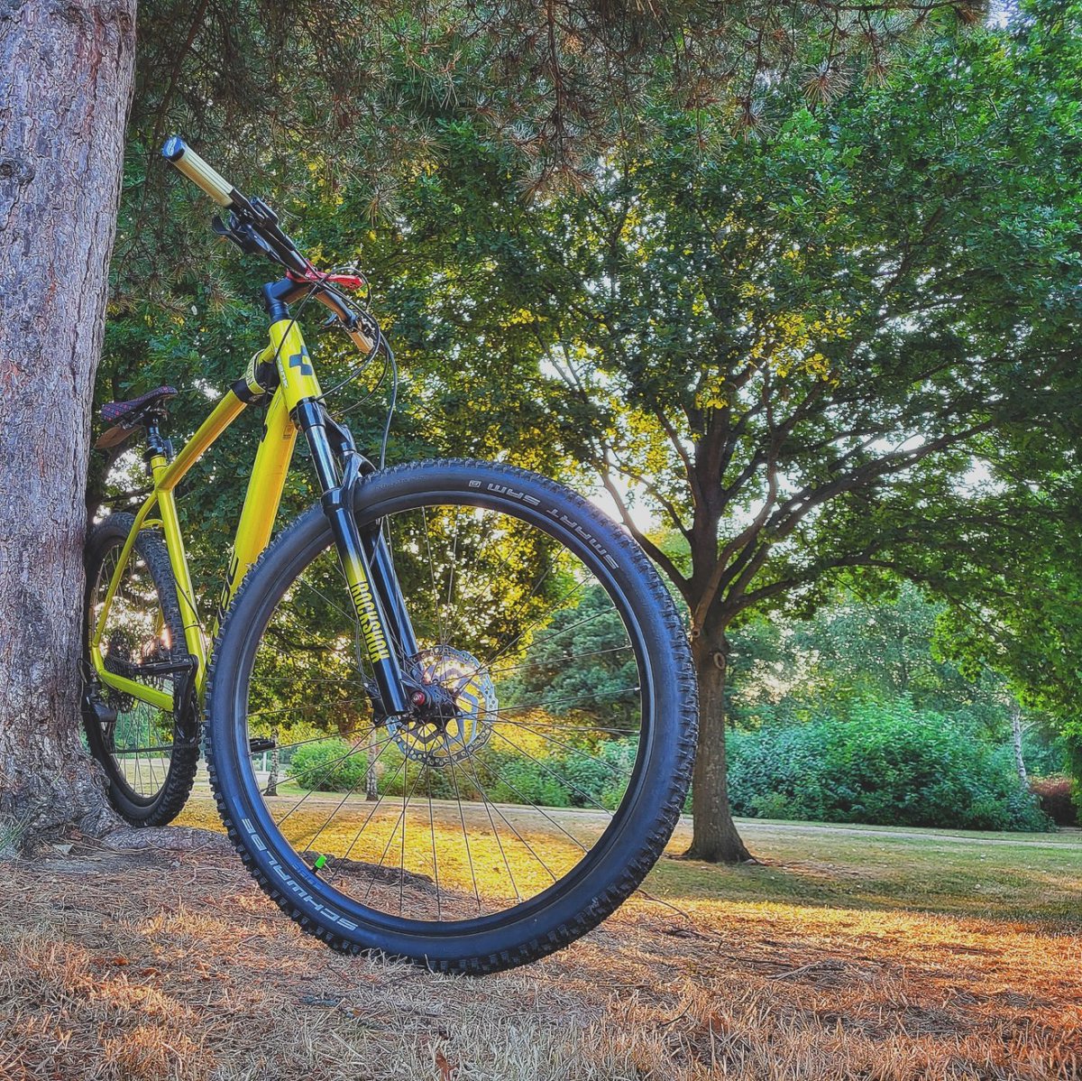 redrumsilence's tweet photo. It's been a week 👀

#TotalMTB @TotalMTB_ https://t.co/mDwYnRSvp7