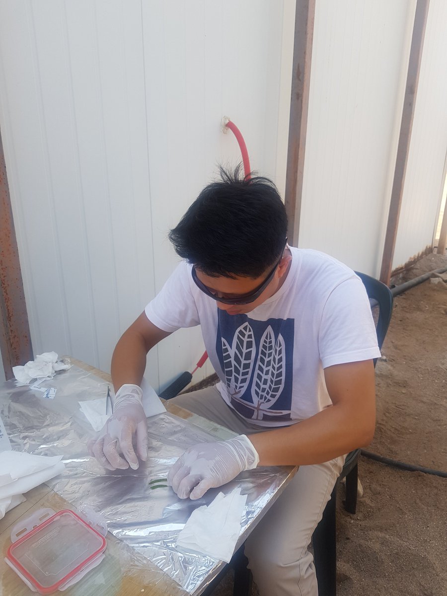 The Seagrass Lab (@gidon_winters) on Twitter photo Desalination is blooming worldwide. Here, we are investigating the effects of hypesaline and antiscalant with the #seagrass Halophia stipulacea. In pictures, our postdoc Dr. Hung Manh Nguyen <a href="/manhhungsg/">Hung Manh Nguyen, PhD</a> and PhD candidate Ryan Sirota are sampling leaf tissues for qPCR analysis. Desalination is blooming worldwide. Here, we are investigating the effects of hypesaline and antiscalant with the #seagrass Halophia stipulacea. In pictures, our postdoc Dr. Hung Manh Nguyen <a href="/manhhungsg/">Hung Manh Nguyen, PhD</a> and PhD candidate Ryan Sirota are sampling leaf tissues for qPCR analysis.