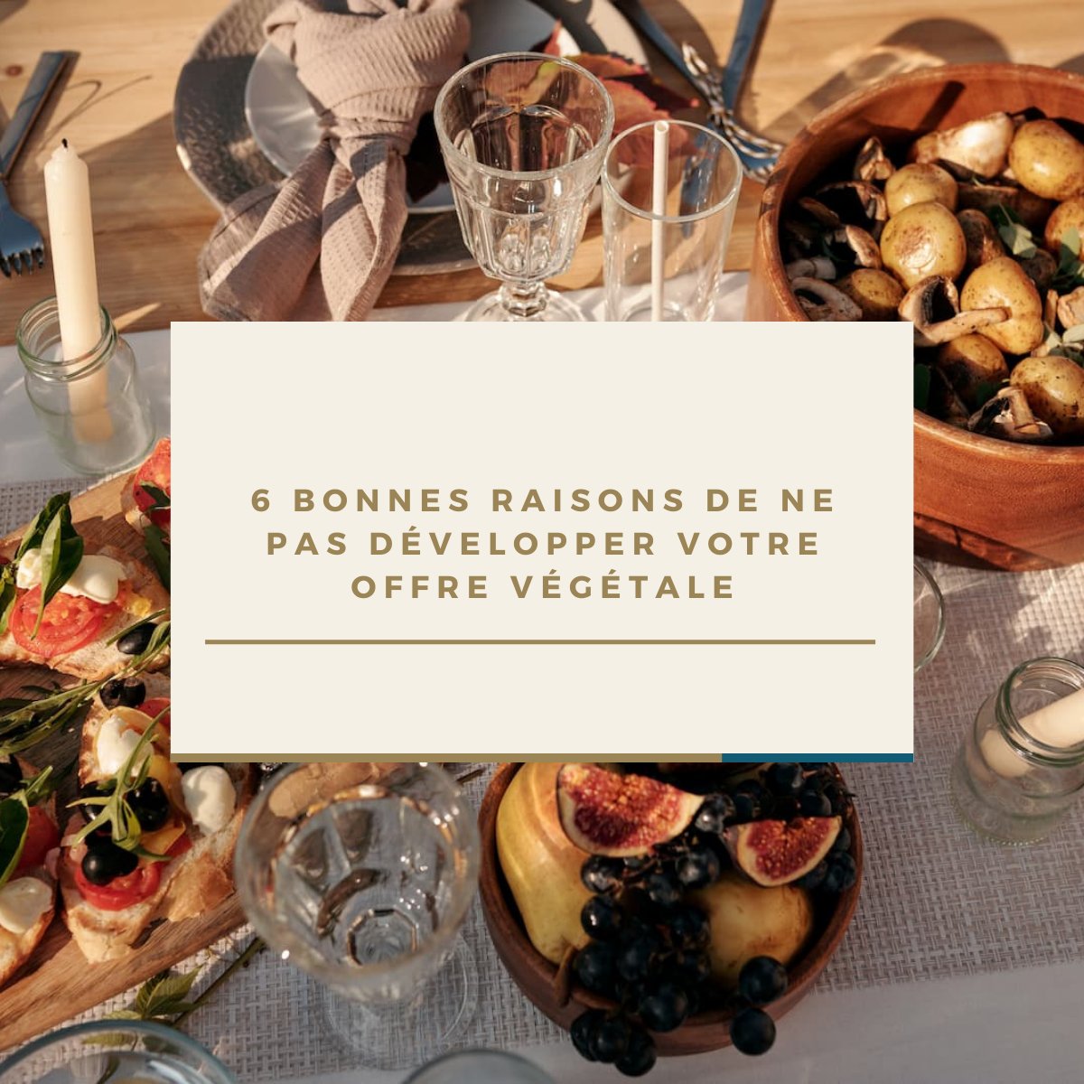 Parce que nous entendons régulièrement vos retours et que nous souhaitons vous aider à progresser. Voici vos principales "bonnes raisons" de ne pas développer une offre végétale et que nous avons à cœur de prendre en compte. 👉  institut-v.com/les-bonnes-rai… #gastronomievegetale