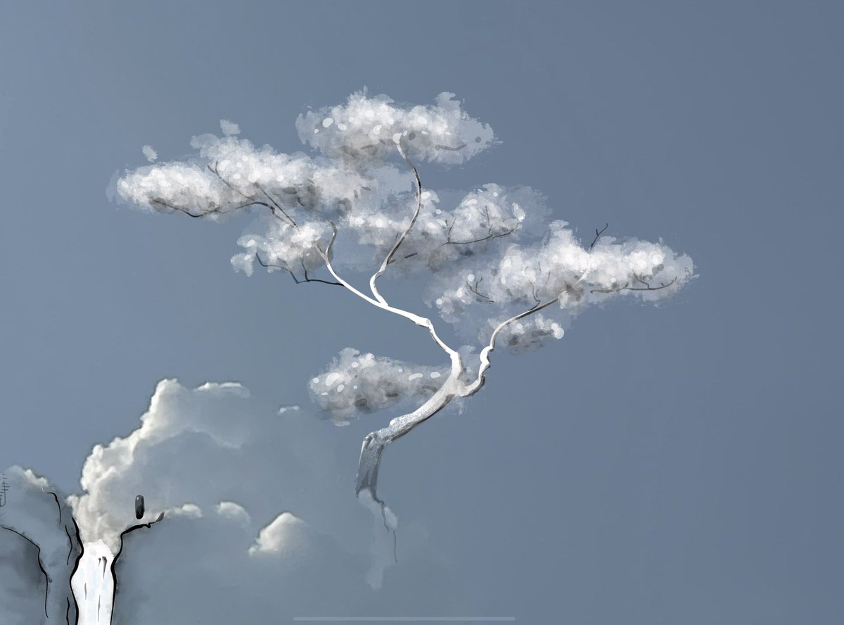 豆子世界 tweet media