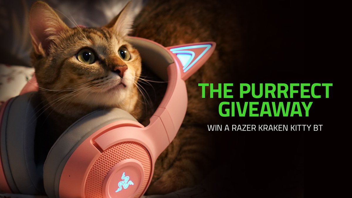 RazerGermany's tweet image. Nimm eine Pfote hoch - es ist #InternationalCatDay. 
Um unsere Fans zu belohnen, verlosen wir ein Razer Kitty Kraken BT pro 500 RTs.🔁
 
Wie du mitmachen kannst:
🐈 Folge uns
🐈 Retweet
 
Die Verlosung endet um 23:59 Uhr.
GLHF!