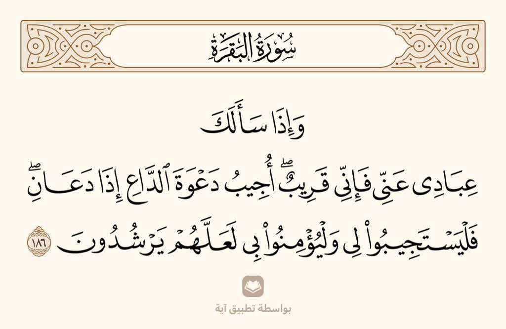 وِلْدَان👶🏻 انجاب tweet media