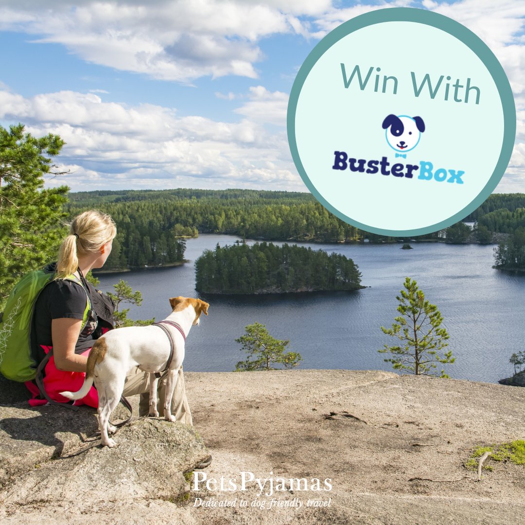 WIN a £100 PetsPyjamas Travel Voucher and a six month subscription to @busterbox_. Follow this link to enter: bit.ly/PetsPyjamasXBu…