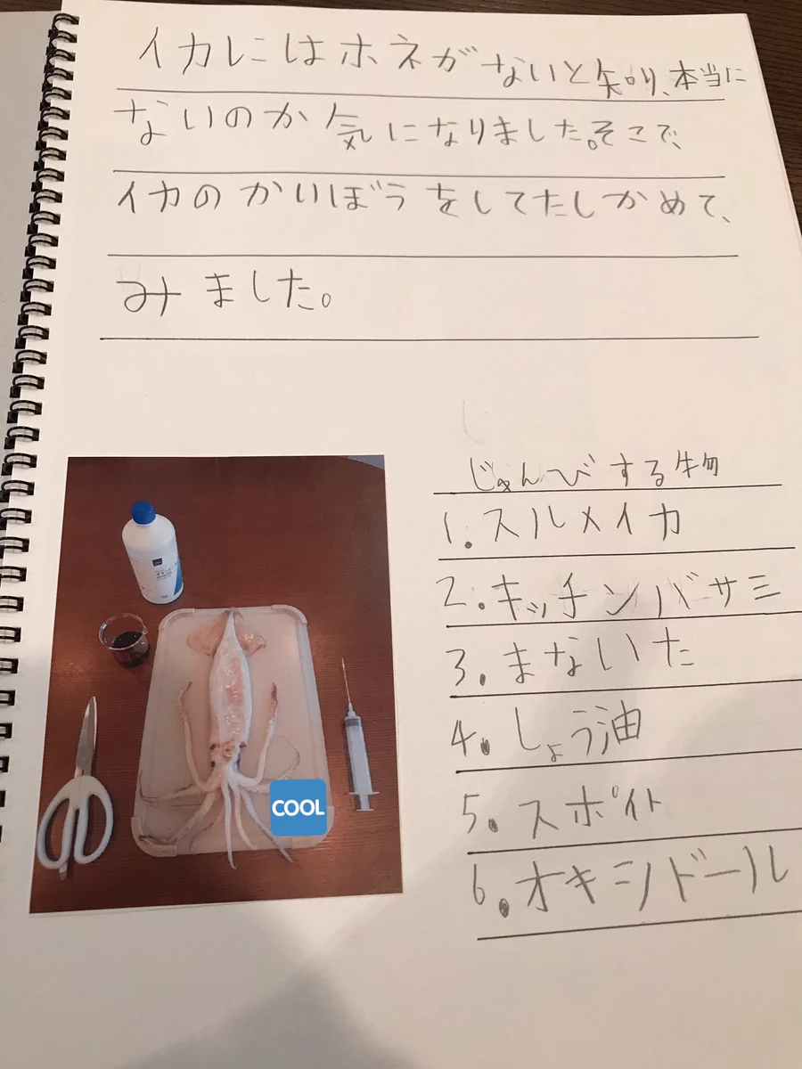 自由研究の結果は？思いもよらないオチだった！