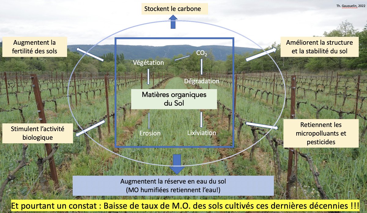thierrygauquel1's tweet image. #Sécheresse! : Et si l'une des solutions, pour les espaces cultivés, se trouvait dans la matière #organique (#MO) des #sols!
Avec des réponses simples telles que le #couvertvégétal, l'#agroforesterie, le #compostage... et l'arrêt des pesticides et des labours profonds
@AFES #IMBE