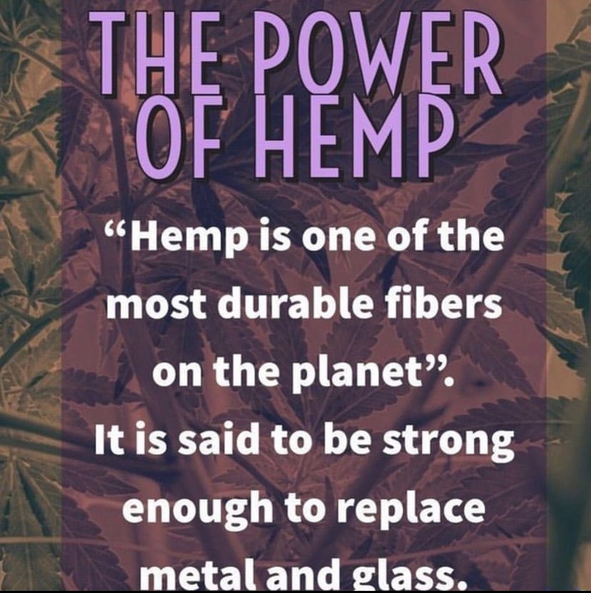 CBD_Pure_'s tweet photo. Good Morning. Follow @cbd_pure_ https://t.co/oyqrwhu9xF Order your Hemp Oil Today. 90 days money back guarantee.

#hempoil #cbd #hemp #cbdoil #cannabis #cbdlife #cannabiscommunity #cbdhealth #cbdheals #cbdproducts https://t.co/KmuKkK14dh