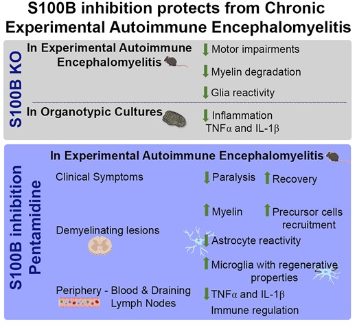 @BrainComms tweet media