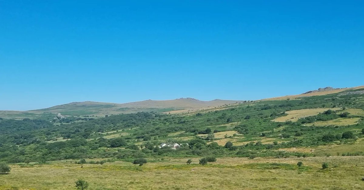 Hannah Merson FCA tweet media