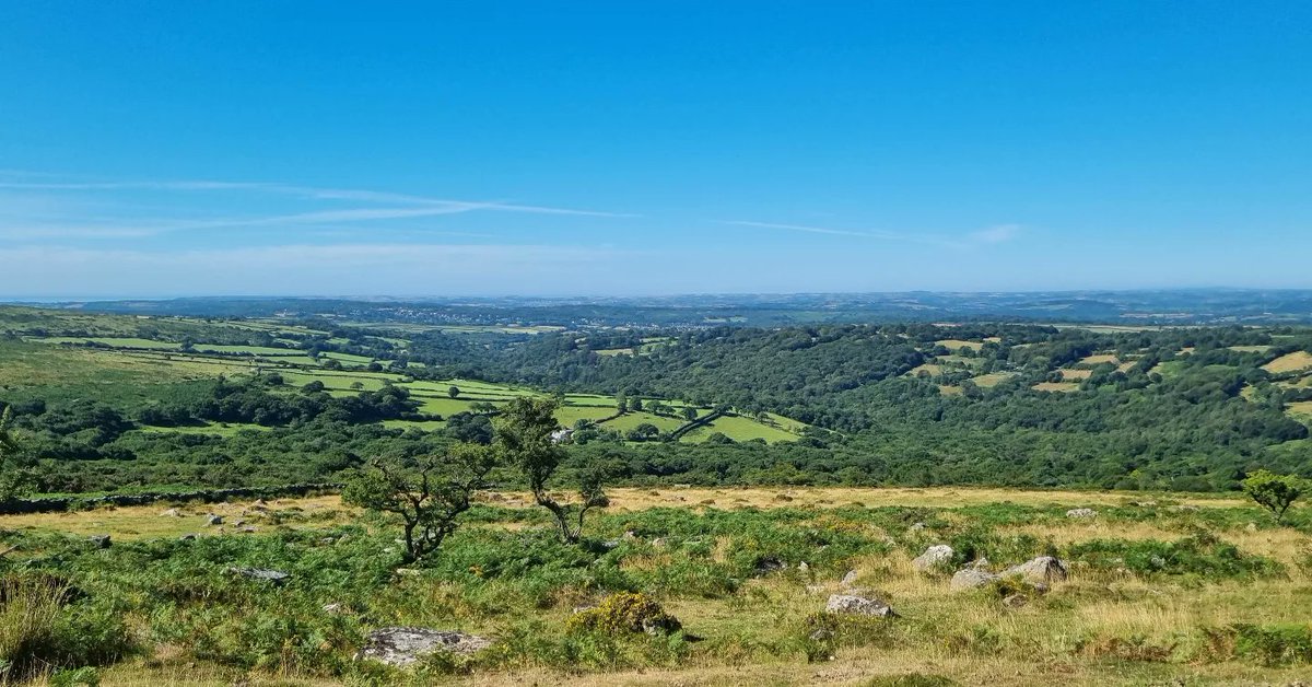 Hannah Merson FCA tweet media