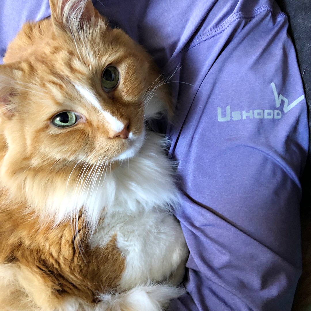 Ushoodllc's tweet photo. It's International Cat Day, and not only are we celebrating Max, but we're celebrating our only pieces of apparel that don't hold onto pet hair - our Ushoods!
#truth #norollingrequired #itsamiracle #ushood #UshoodDoU #oneineverycolor #sunshirt #running #biking #cycling #hiking # https://t.co/tJHhP3RoVZ