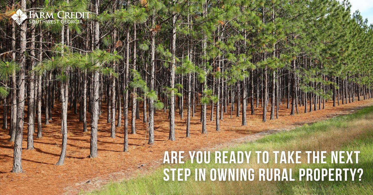 SWGAFarmCredit's tweet photo. Rural land is a reliable asset that builds value over time. Learn how we can help you finance your next land purchase.
Call one of our Relationship Managers today! https://t.co/lifVH1tL0F
#swgafarmcredit #landloan #roomtogrow https://t.co/GHIvB4o33a