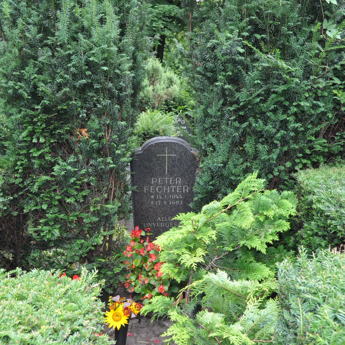 #Pankow gedenkt der #Maueropfer mit einer Kranzniederlegung am Grab von Peter Fechter auf dem evangelischen Friedhof in #Weißensee.

#Gedenken
📅13.8.
⏰13:00
📍Indira-Gandhi-Str. 110, Treffpunkt ist die Kirchhofverwaltung 

Mehr dazu hier:👇
berlin.de/ba-pankow/aktu…