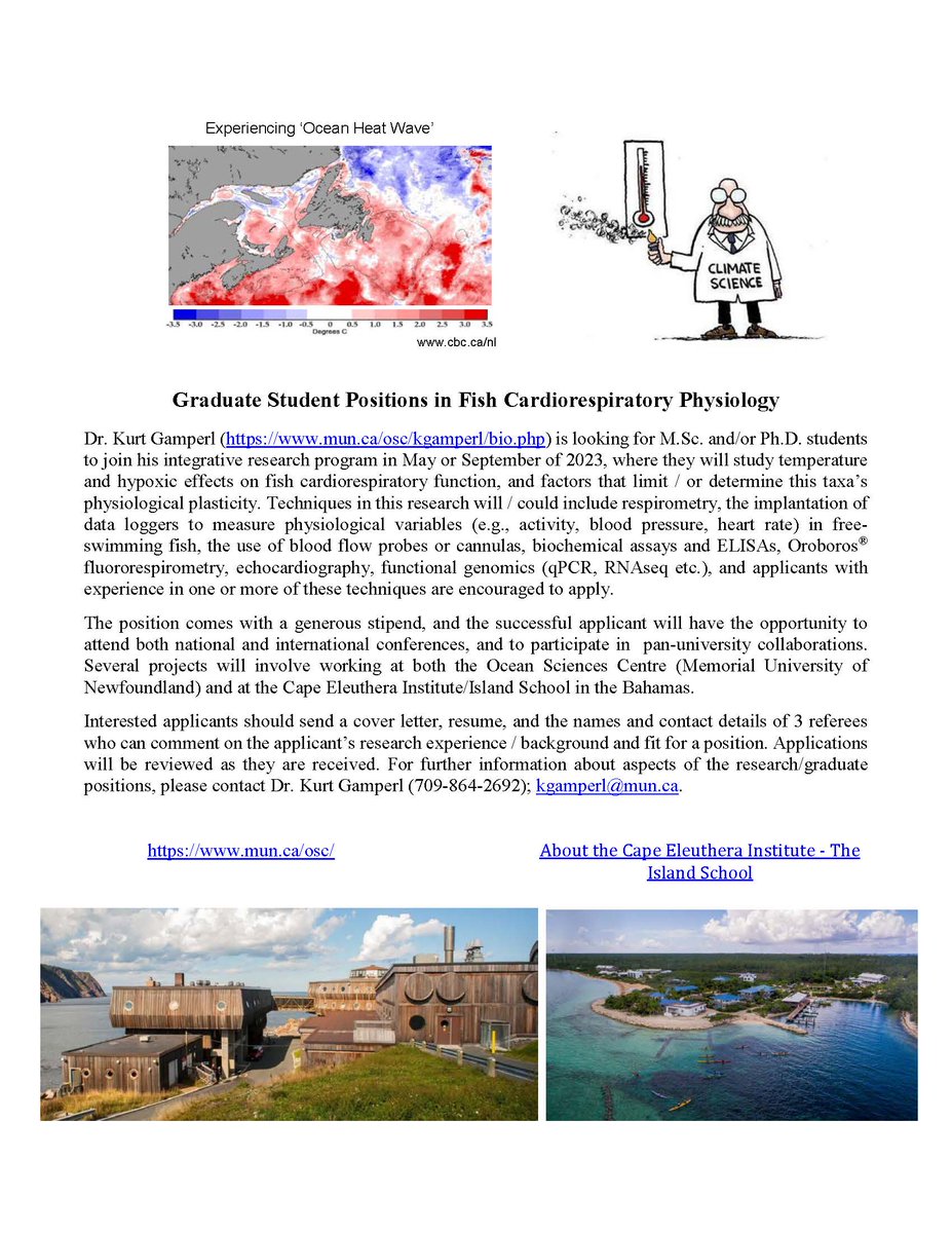 Graduate Student Positions in Fish Cardiorespiratory Physiology
Dr. Kurt Gamperl (mun.ca/osc/kgamperl/b…) is looking for MSc and/or PhD students to join his integrative research program in May or September of 2023. See details below 👇🌊🐟