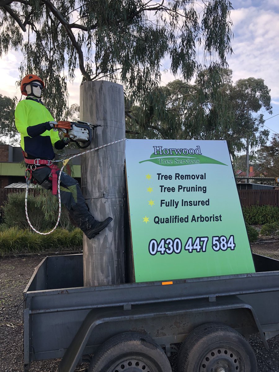 AlBeyer74's tweet photo. Perfect advertising. Looks very real. Towed behind work Ute. #chainsawman #treeclearing #treeremoval https://t.co/LqUBRWxtNp