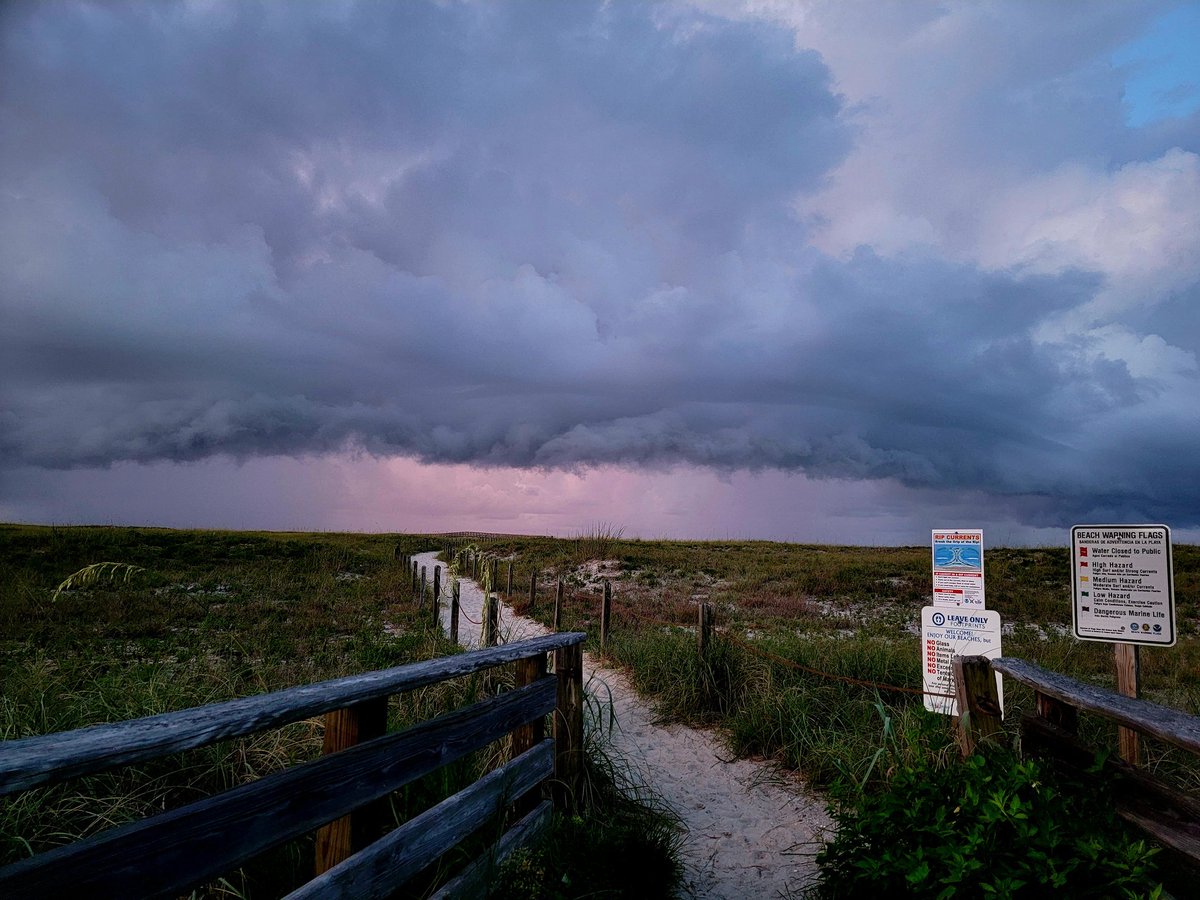 Sarah Padgett tweet media