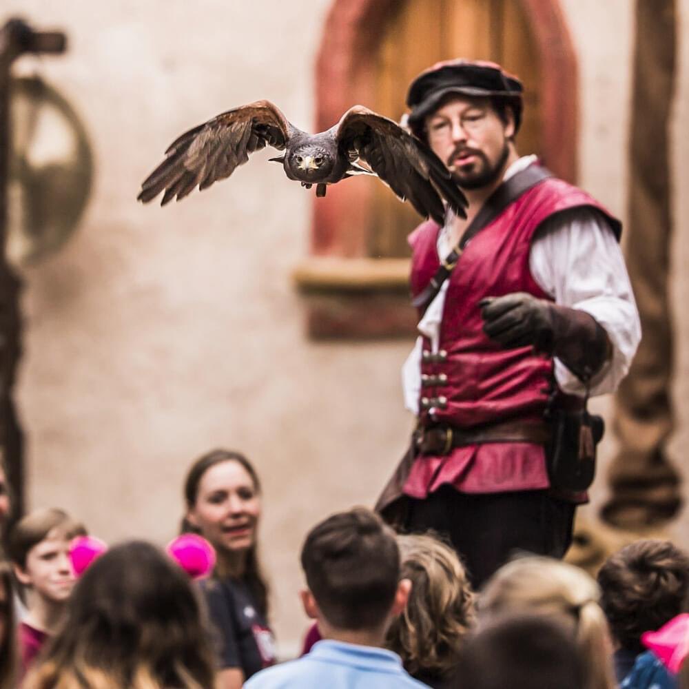 Carolina Renaissance tweet media
