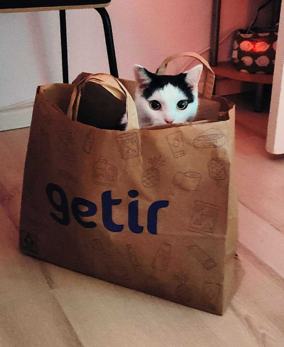 Happy International Cat Day! 😻🐈
Wir liefern zwar keine Katzen, aber ganz viele Leckereien für unsere samtpfotigen Freunde. Auch Namii, die knuffige Begleiterin unserer Kollegin, ist überglücklich mit ihrer Bestellung. 🐟🐔
#getirde #internationalcatday #catsofinstagram 💜🛵