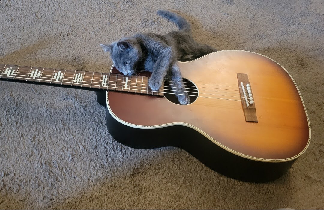 Mᥲⲅὶᥲɦ Aυ𝚝υოɳ 🌈 ⃤ tweet media