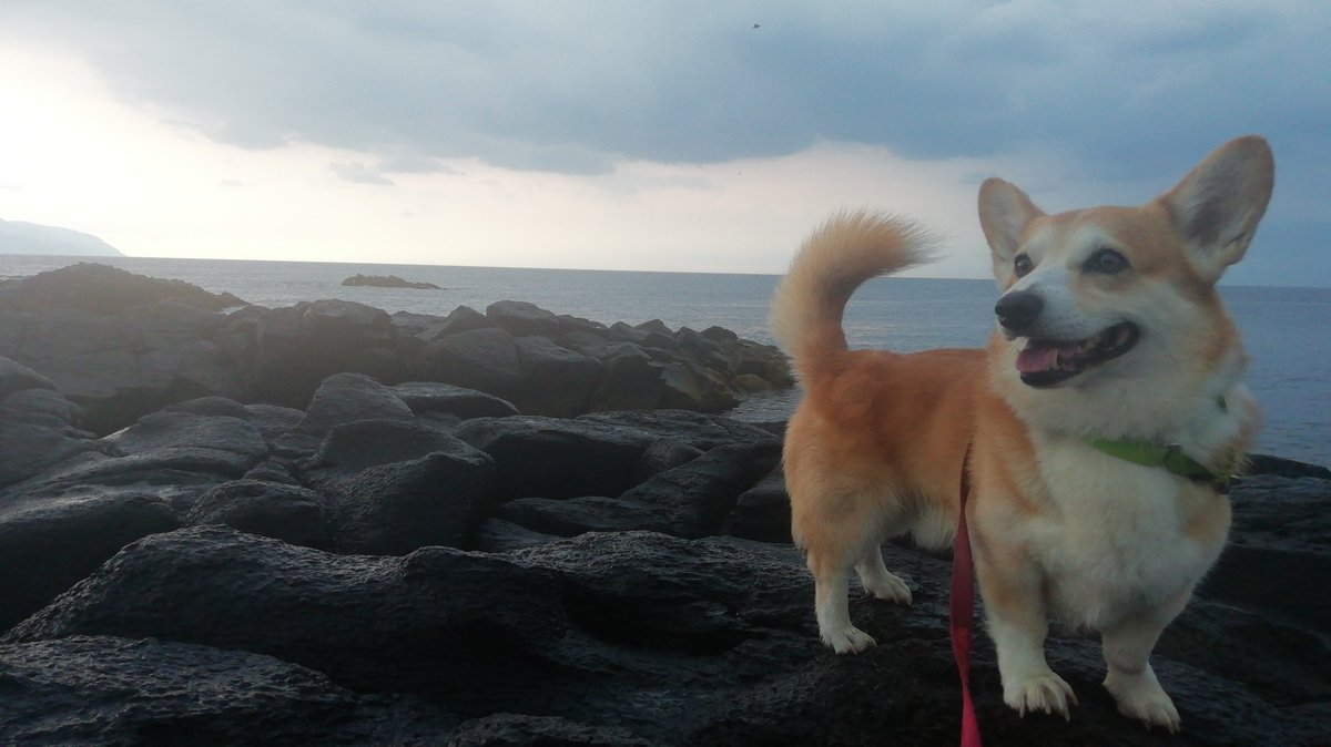 smiledog1126's tweet photo. 今日は留萌→ヒマワリコース！久しぶりのドライブ超楽しかった！！オロロンライン好きとしてはうっかり稚内まで走りたい気分だったw https://t.co/gTgaV48sAj