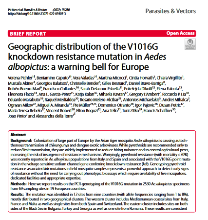 DanielBrav3's tweet image. 📢New paper available‼️
Very happy to participate with great researchers in this European study of #pyrethroid resistance associated #kdr mutations in #AedesAlbopictus🦟
This paper was produced in the framework of the COST Action @aedescost 
Link here:👇
parasitesandvectors.biomedcentral.com/articles/10.11…