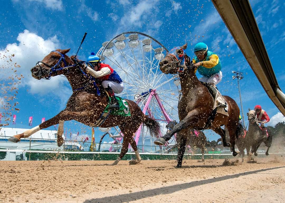 Maryland State Fair on Twitter "18 Day Countdown Prepare to See a lot