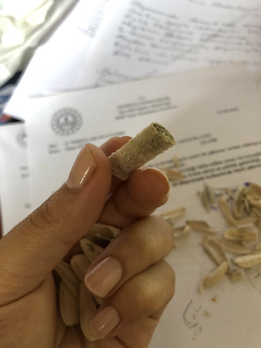 Sanırım Çerezya çalışanı çok efkarlıydı hissetmemiz için sigarayı çekirdek paketinin içini atmış 😬😬😬 Aldığınız ürünleri kontrol ederek tüketin!
#çerezya