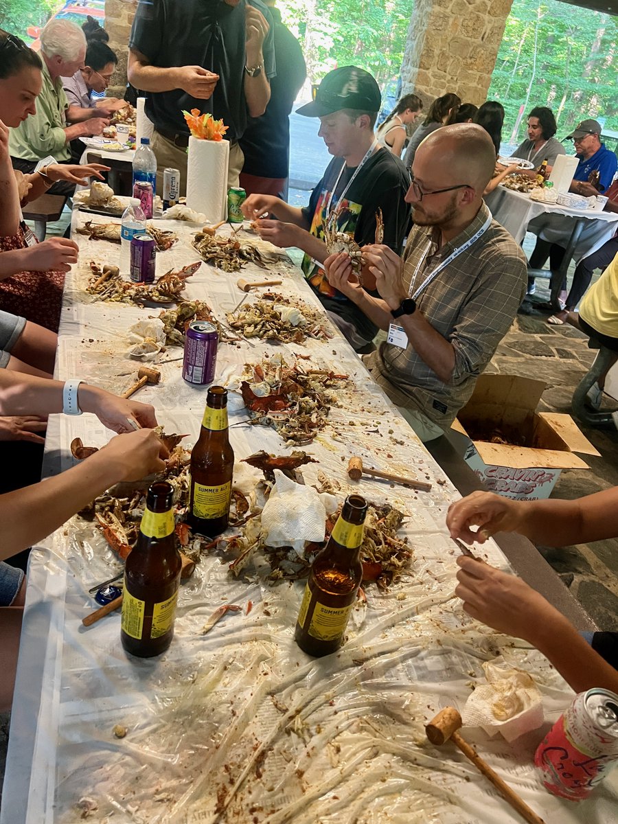 Anna Windle tweet media