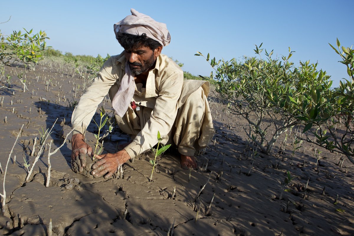 UNDP Planet tweet media