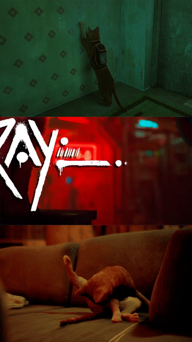 Hoy es el día del gato. Hoy es día de #Stray😎¡Pulsa en cada foto para llevarte una sorpresa gatuna!🐈