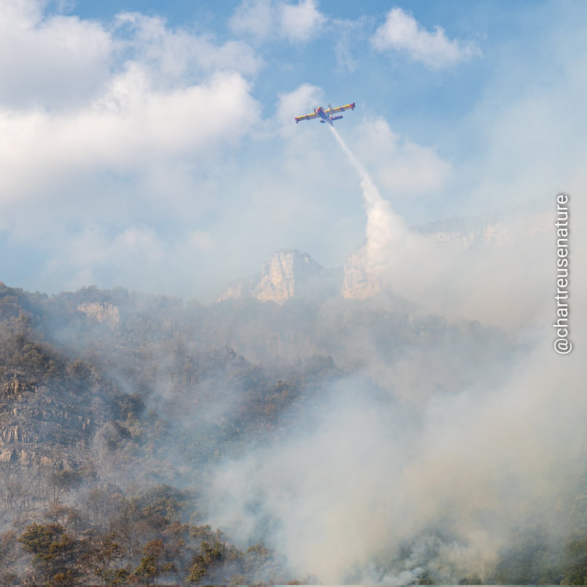 NicoChartreuseN's tweet photo. À mon tour de pleurer mes forêts, mes collines où j'ai grandit, mes buis, mon Belvédère des Maquisards, ma Nature que j'aime. 
Ma région brûle à son tour. Merci à nos #pompiers 
#voreppe #incendie #canadair https://t.co/vL0kA2I2dQ