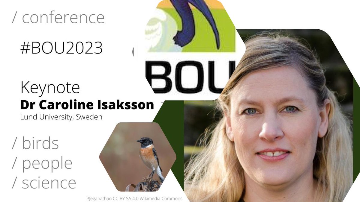 #BOU2023 Keynote
Dr Caroline Isaksson <a href="/CarolineIsak/">Caroline Isaksson</a>

Department of Biology, Lund University, Sweden
 
The cocktail of urban pollutants and its impacts on birds
bou.org.uk/event/bou2023-…

#ornithology