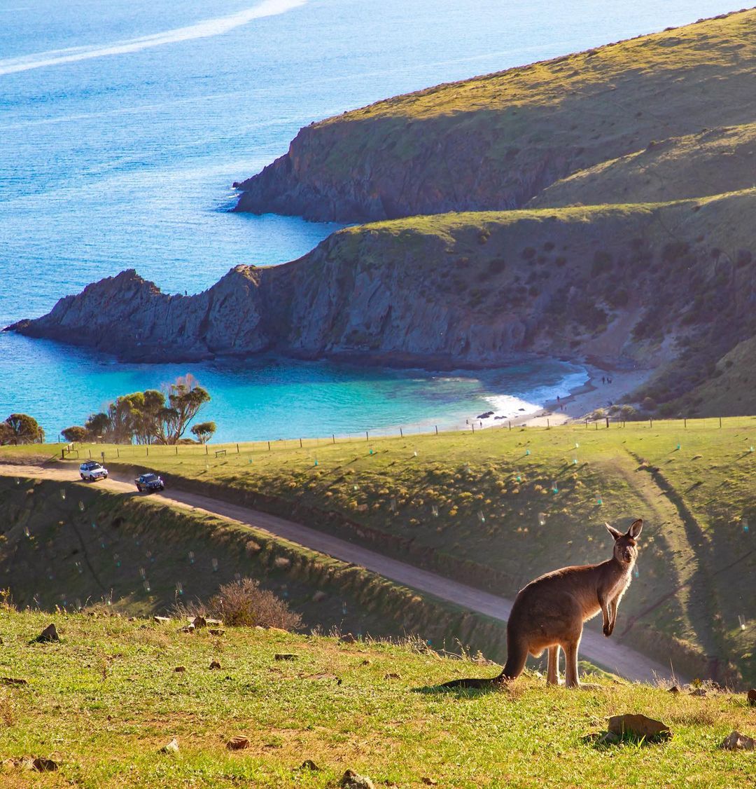 South Australia (southaustralia) / Twitter