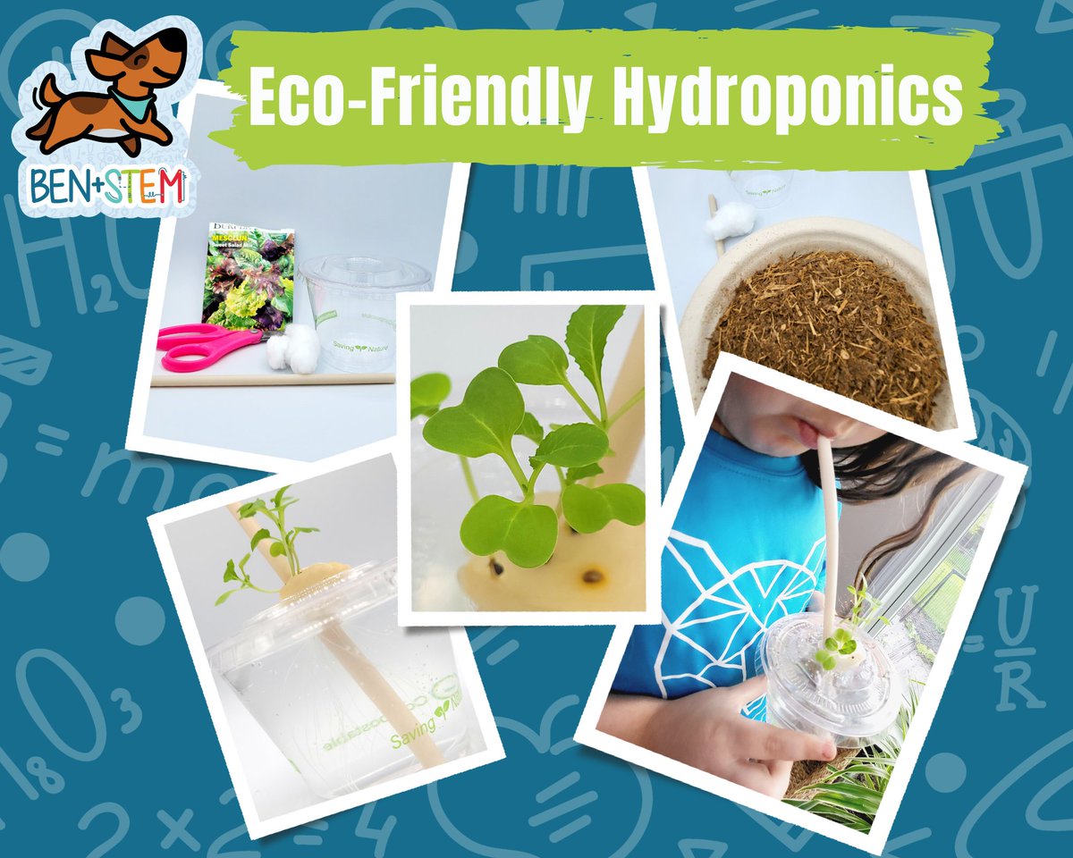 plus_stem's tweet photo. Happy Monday #teachersoftwitter! Check out my new blog post on building an eco-friendly hydroponics system for young students!🍃#ecofriendly  #STEM #StemEducation #Steam  #environmentaleducation  https://t.co/o7MsGUcSKv https://t.co/FtzESIcm1P