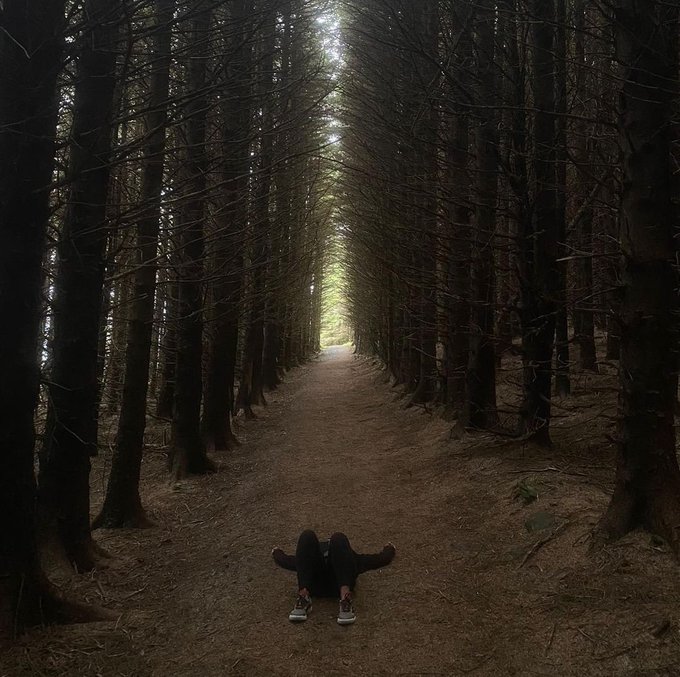 🖤 🥹 This was absolutely my favorite place in #Ireland. You all know I love the #Woods. I mean this was<a href="/tag/ireland"class="tags">#Ireland</a><a href="/tag/magical"class="tags"><span>#magical</span></a><a href="/tag/fairytale"class="tags"><span>#fairytale</span></a><a href="/tag/woods"class="tags"><span>#woods</span></a>