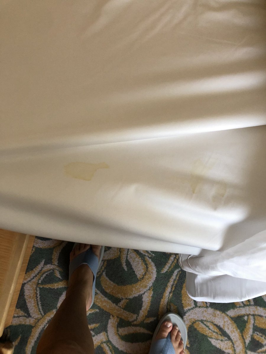 ClaryZeno's tweet photo. @RoyalCaribPR @RoyalCaribbean you should be ashamed of yourselves! The weekend of July 29 my friends and I boarded Freedom of The Seas. We had a suite. You all claim to be so clean . What we found on our mattresses, sheets, etc is beyond repulsive!Take a look below. https://t.co/rUMGnB1ZoB