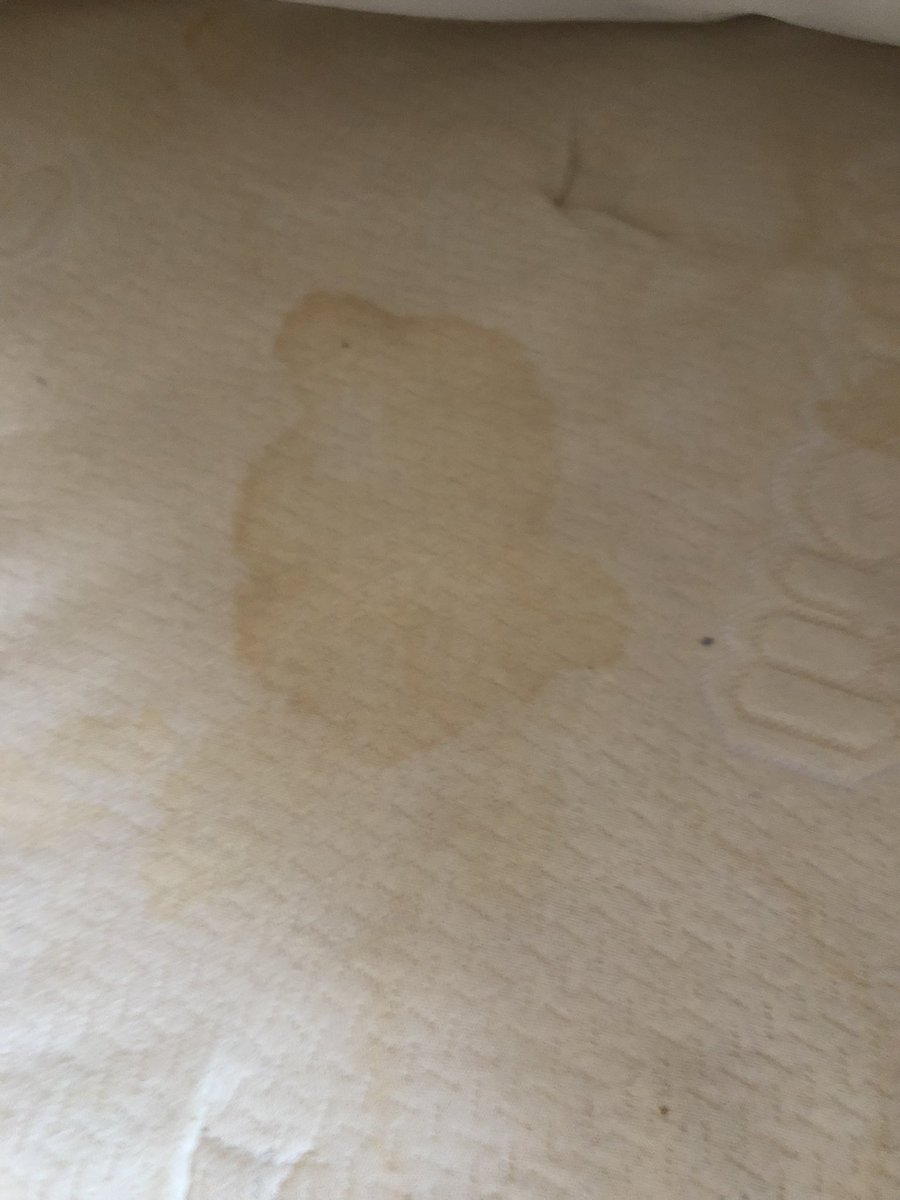 ClaryZeno's tweet photo. @RoyalCaribPR @RoyalCaribbean you should be ashamed of yourselves! The weekend of July 29 my friends and I boarded Freedom of The Seas. We had a suite. You all claim to be so clean . What we found on our mattresses, sheets, etc is beyond repulsive!Take a look below. https://t.co/rUMGnB1ZoB
