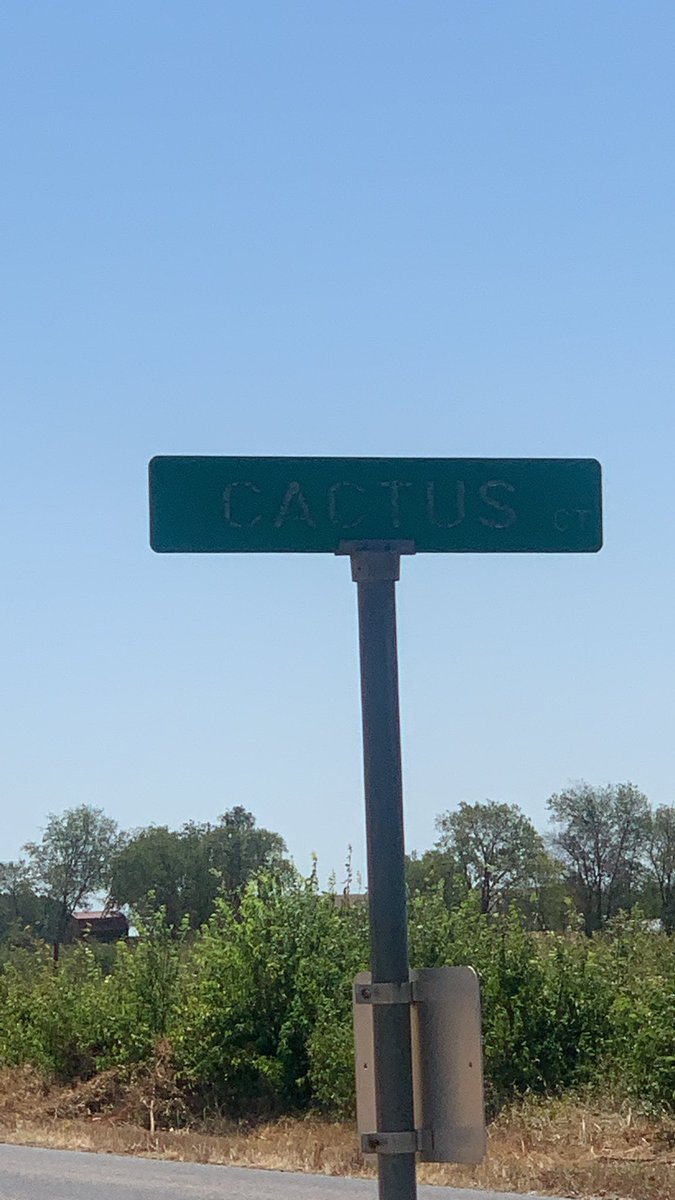 Cactus Ct. #clesbestyearyet <a href="/ClaraLoveES/">Clara Love Elementary</a> @School_Jones <a href="/lisarcrosslin/">Lisa Crosslin, EdD</a>