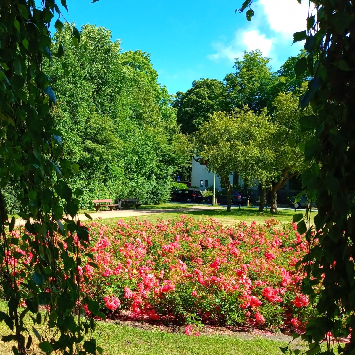 Geestemünde-Platz „ Café Roux“. Dieses Café war einst in dem weißen Gebäude, in dem jetzt die Albert-Schweitzer-Wohnstätte ist. Beim Gartenbauamt hat der Platz einfach seinen Namen behalten.

Roux kann übrigens vieles bedeuten: rot, Mehlschwitze oder Ingwer. Was wohl gemeint war?