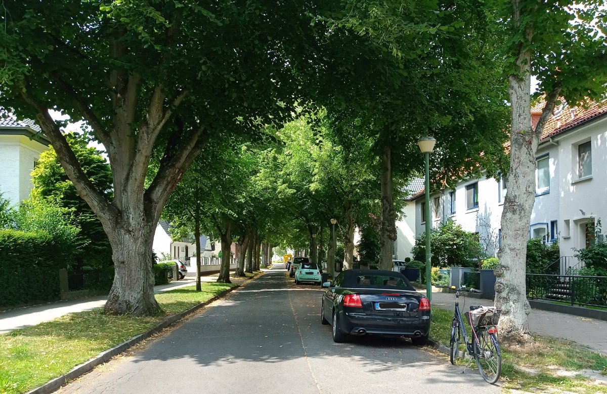 Die Bleßmannstraße wurde 1906 angelegt. Benannt ist sie nach Hermann Bleßmann, der von 1889 bis 1899 Bürgermeister von Geestemünde war. Ihm war es zu verdanken, dass 1896 die neue Anlage des Fischereihafens eröffnet wurde.