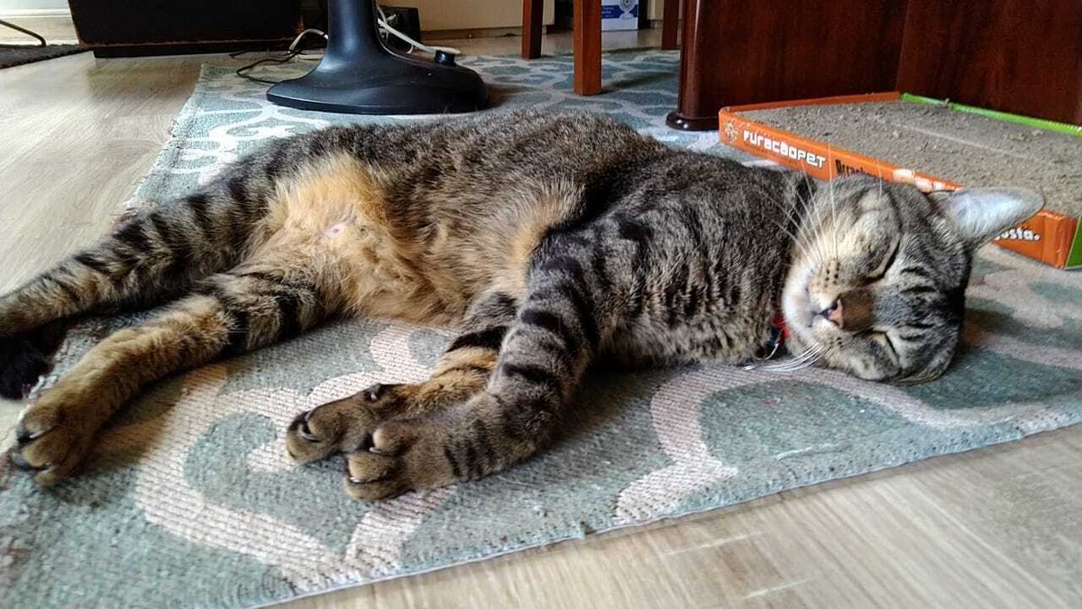 InnoGames tweet media