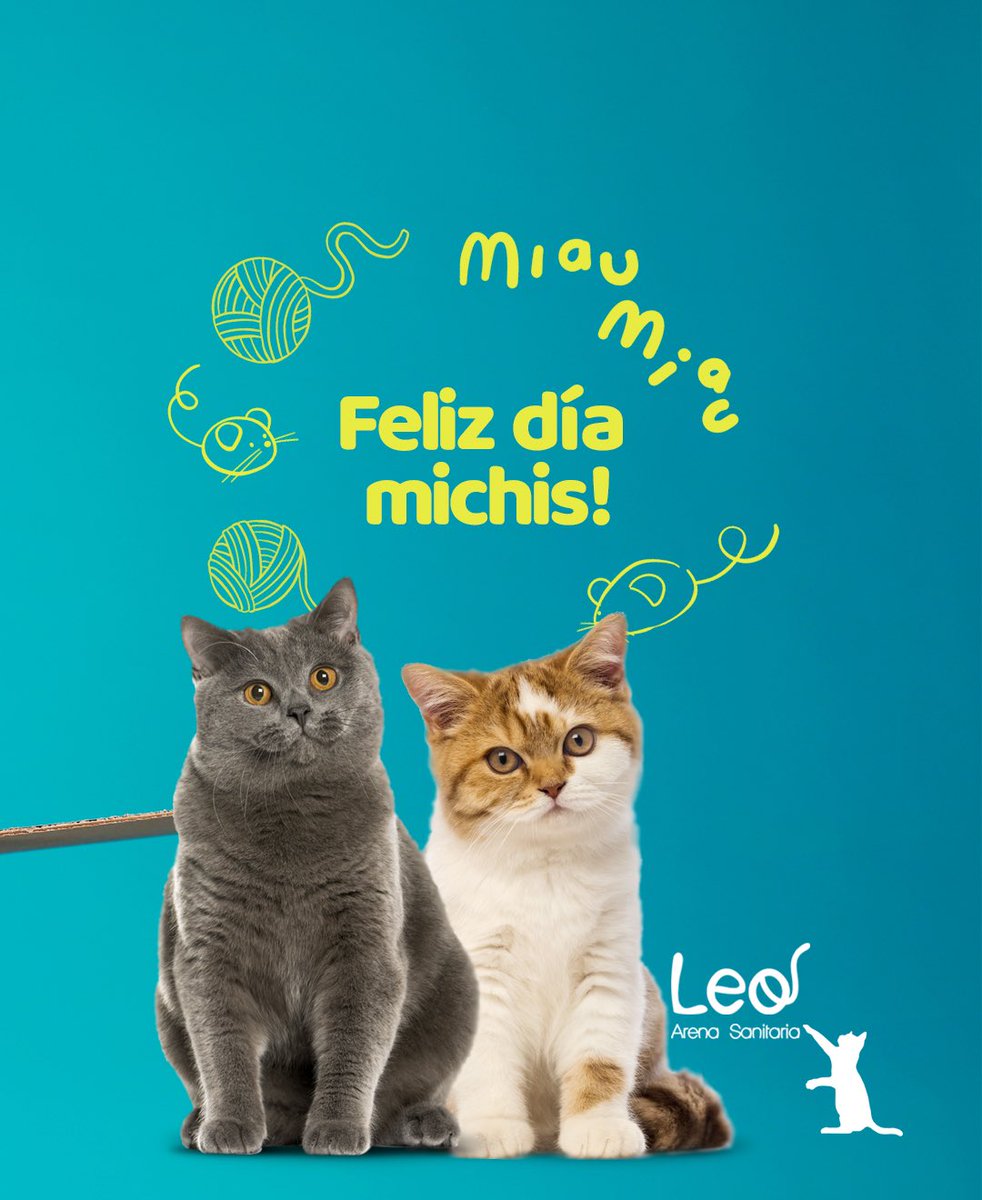 PROBACSA's tweet image. En el Día internacional de los michis, ¿cuántos se divierten con sus ocurrencias?  😉🤗
———————-
Leo Arena 🐈🐈‍⬛

#diadelgato #catlovers #catwalk #catlife #pets #felinos