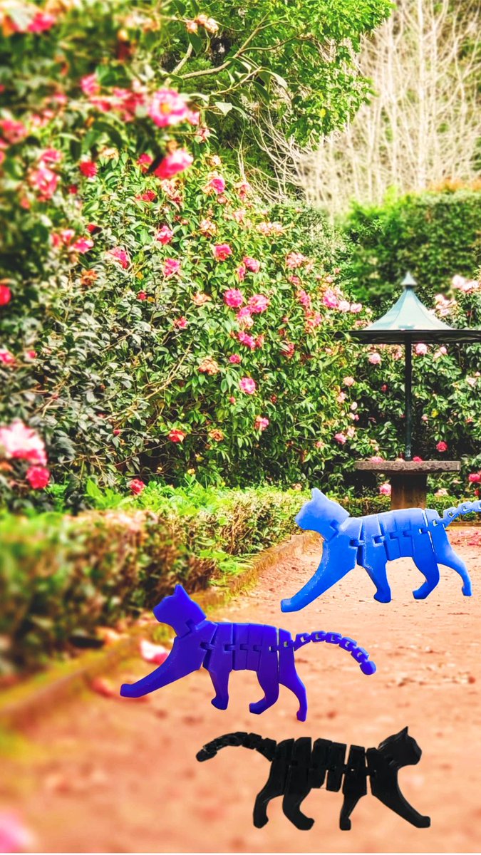 3dimensionaldec's tweet image. 3d printed flexi cat.. can print in any colour including rainbow...Brilliant for stress or a toy for the kids

#3dprinted #3dcat #flexicat #3dprintedproducts #ukdesignedgifts #giftideas #toysforkids